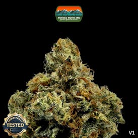 Rugged Roots | Georgia Pie