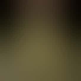 Rugged Roots | Georgia Pie Dime Bag