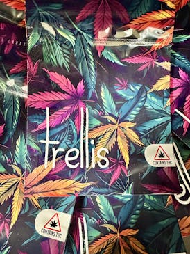 Trellis | Granddaddy Purple