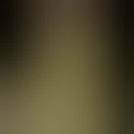 Rugged Roots | Melted Strawberries