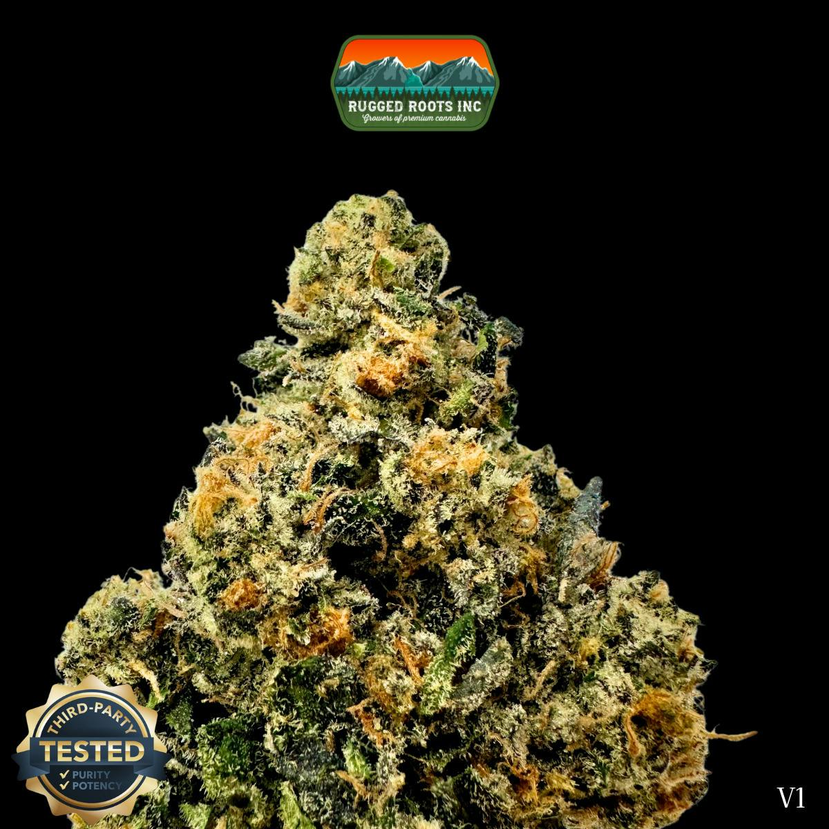 Rugged Roots | Galactic Runtz
