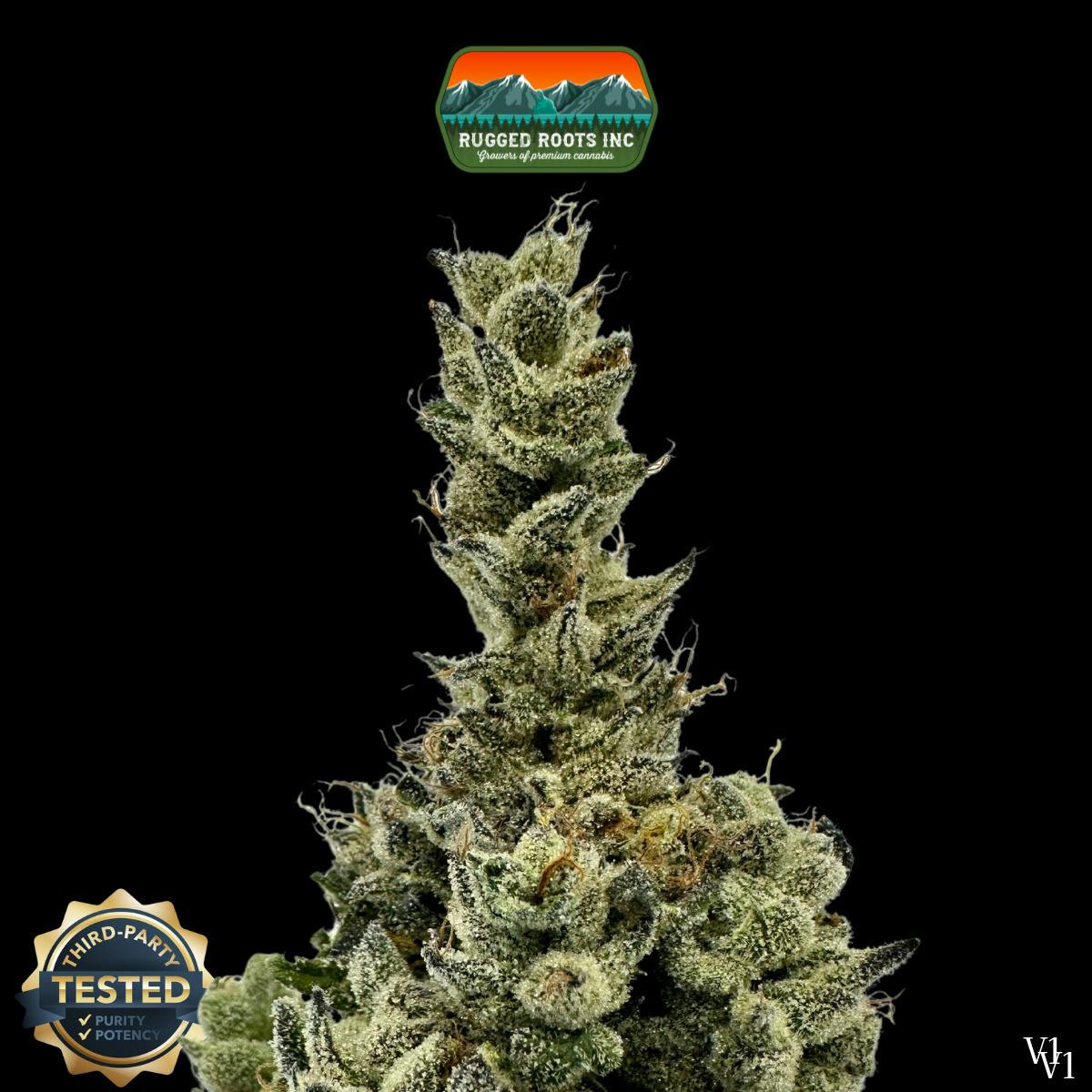 Rugged Roots | Icy Mac Dime Bag at Rugged Roots Trading Post- Bangor