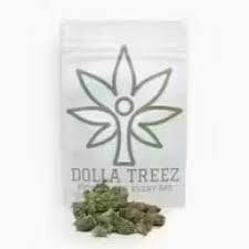 DOLLA TREEZ | BLUEBERRY MUFFIN | 3.5 GRAMS FLOWER