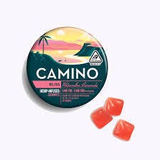 CAMINO | WATERMELON LEMONADE | 100MG THC