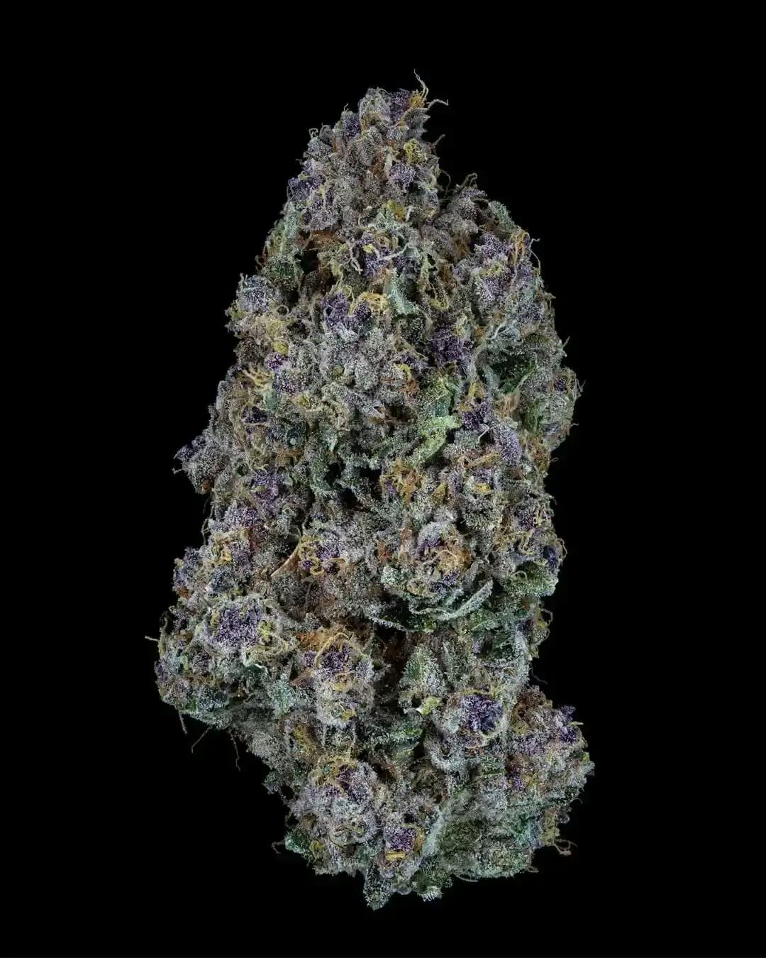 Sweetgrass | Triangle Queen Petites | 3.5G