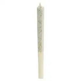 1964 | COMATOSE RESIN INFUSED PRE-ROLL | 0.5g