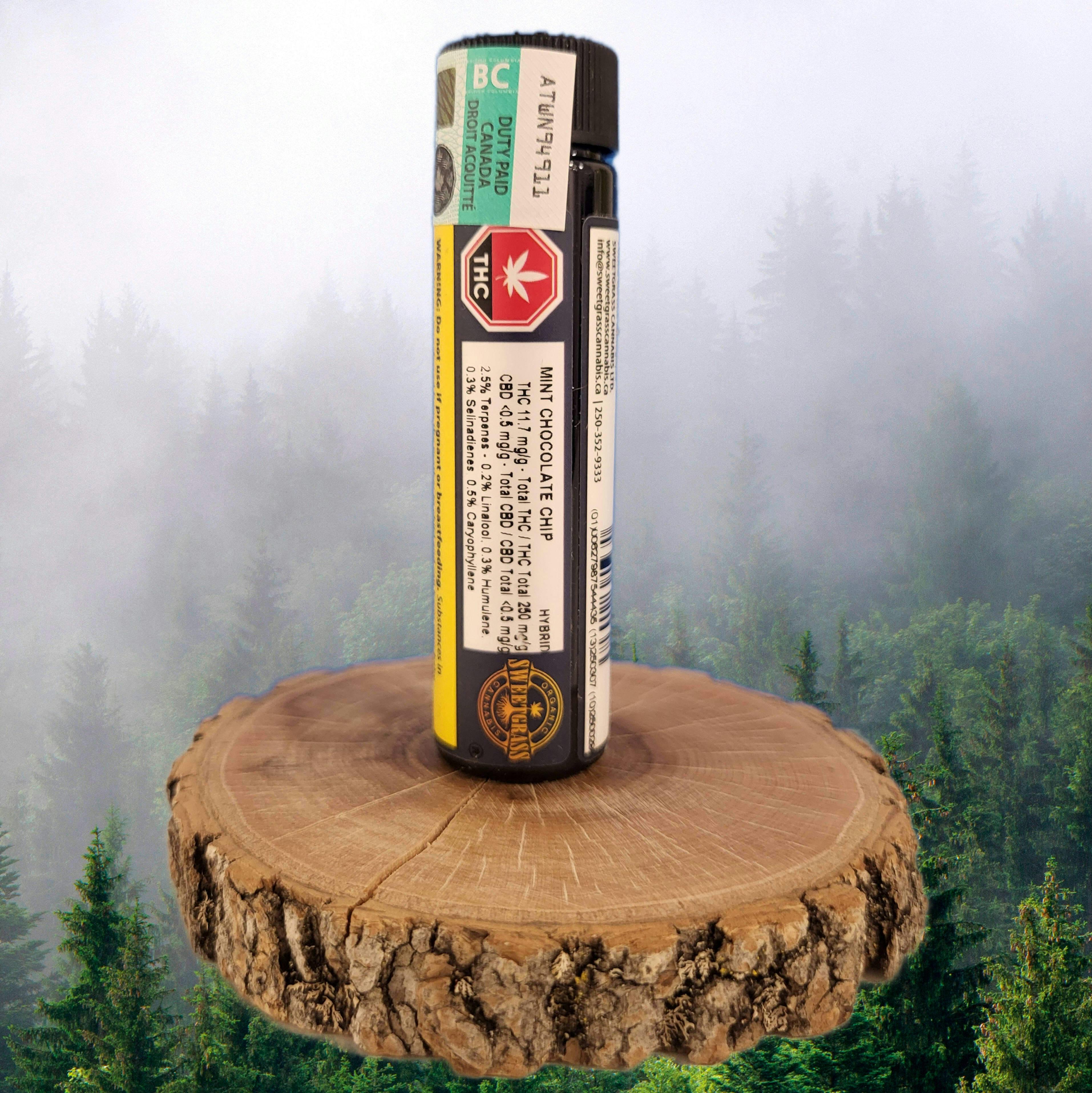 MINT CHOCOLATE CHIP PRE-ROLLS | 3 x