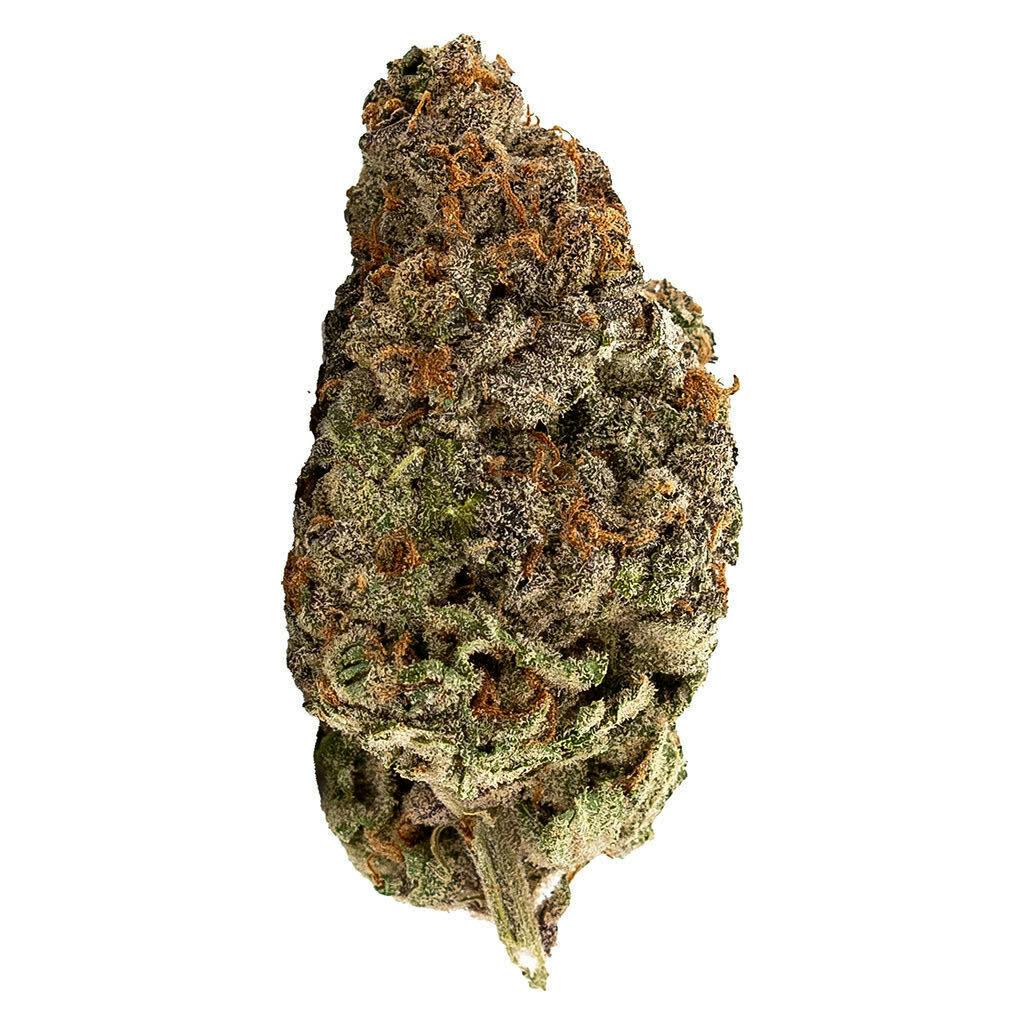 Qwest | WHITE WALKER CRAFT | 7g