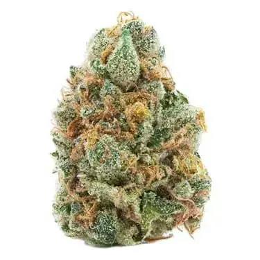 Pineapple Buds | Lemonade Gushers | 3.5G