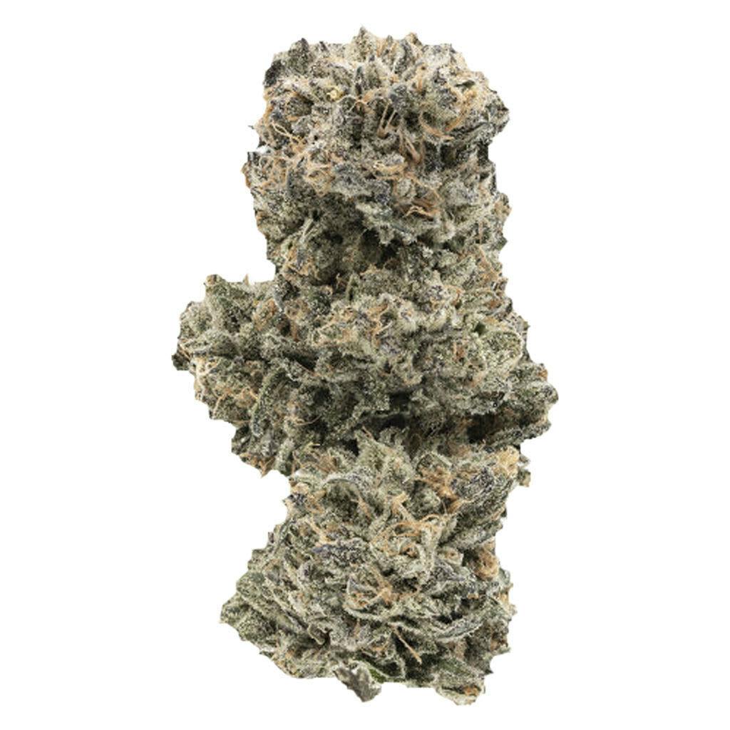 1964 | KUSH MINTS | 7g