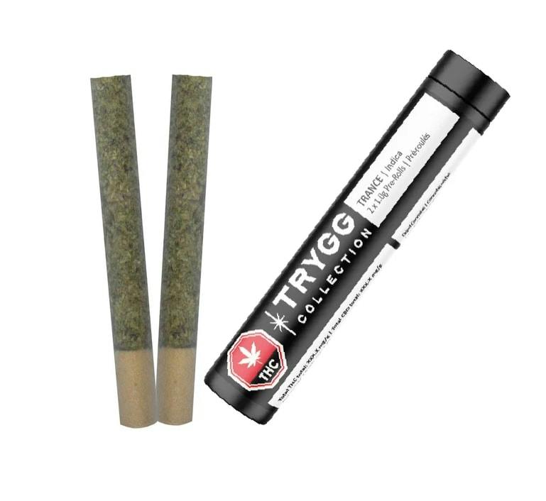 TRYGG | TRANCE PRE-ROLLS | 2 x 1g