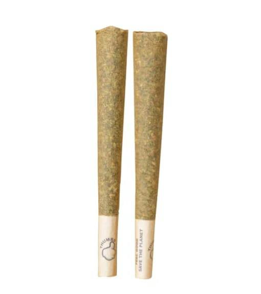 Thumbs Up | HYBRID PRE-ROLLS - 2G