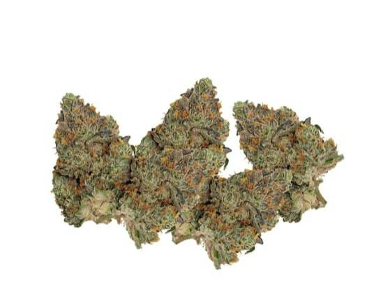 BLUE ZUSHI SMALLS - 3.5G