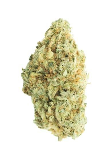 Vancity Cannabis | RESERVE SATIVA - 7G