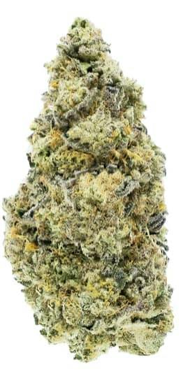 DARK RAINBOW CRAFT FLOWER - 14g