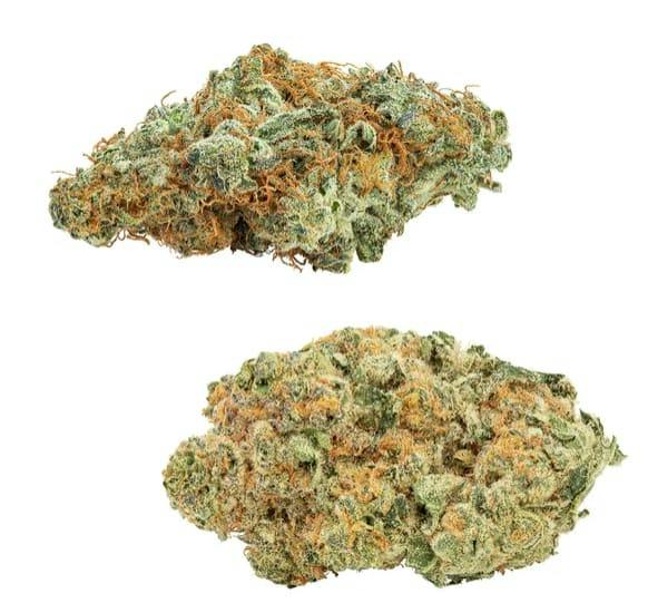 COMBOZ - AMNESIA OG & TROPICANNA TANGIE LTO - 28