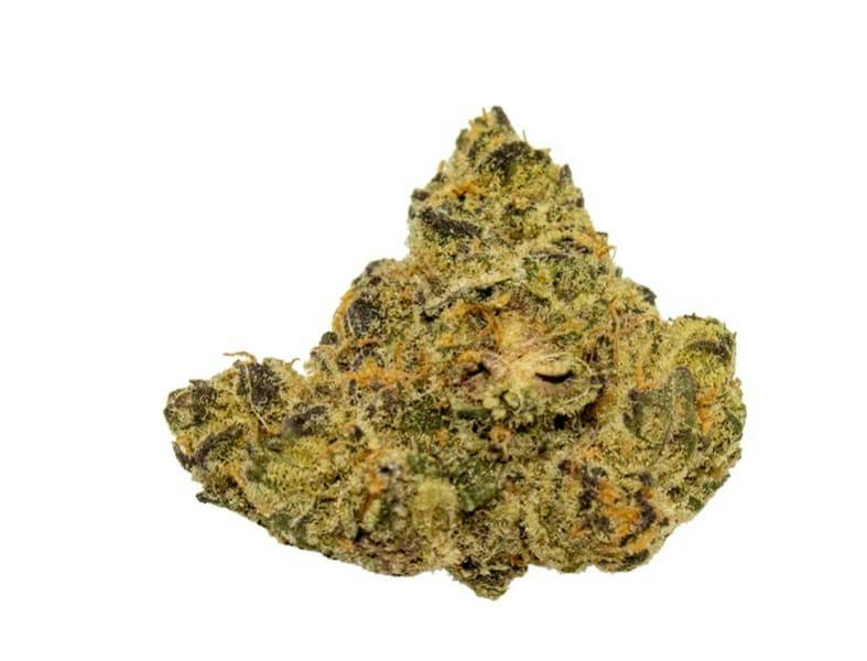 WAFFLE CONE WHOLE FLOWER - 7
