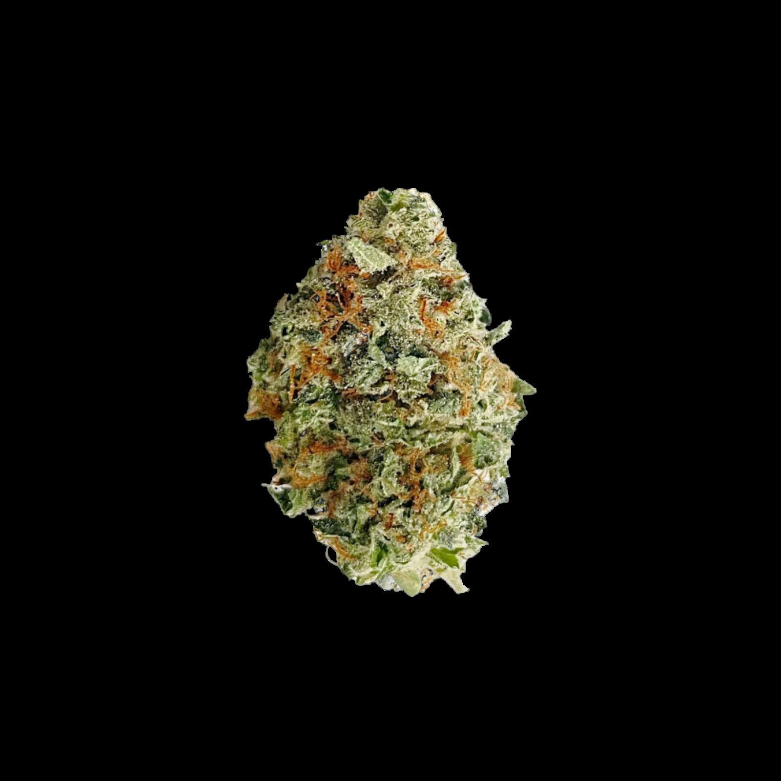 GOLDKINE | ANIMAL TREE | HYBRID | DELI-FLOWER | REC