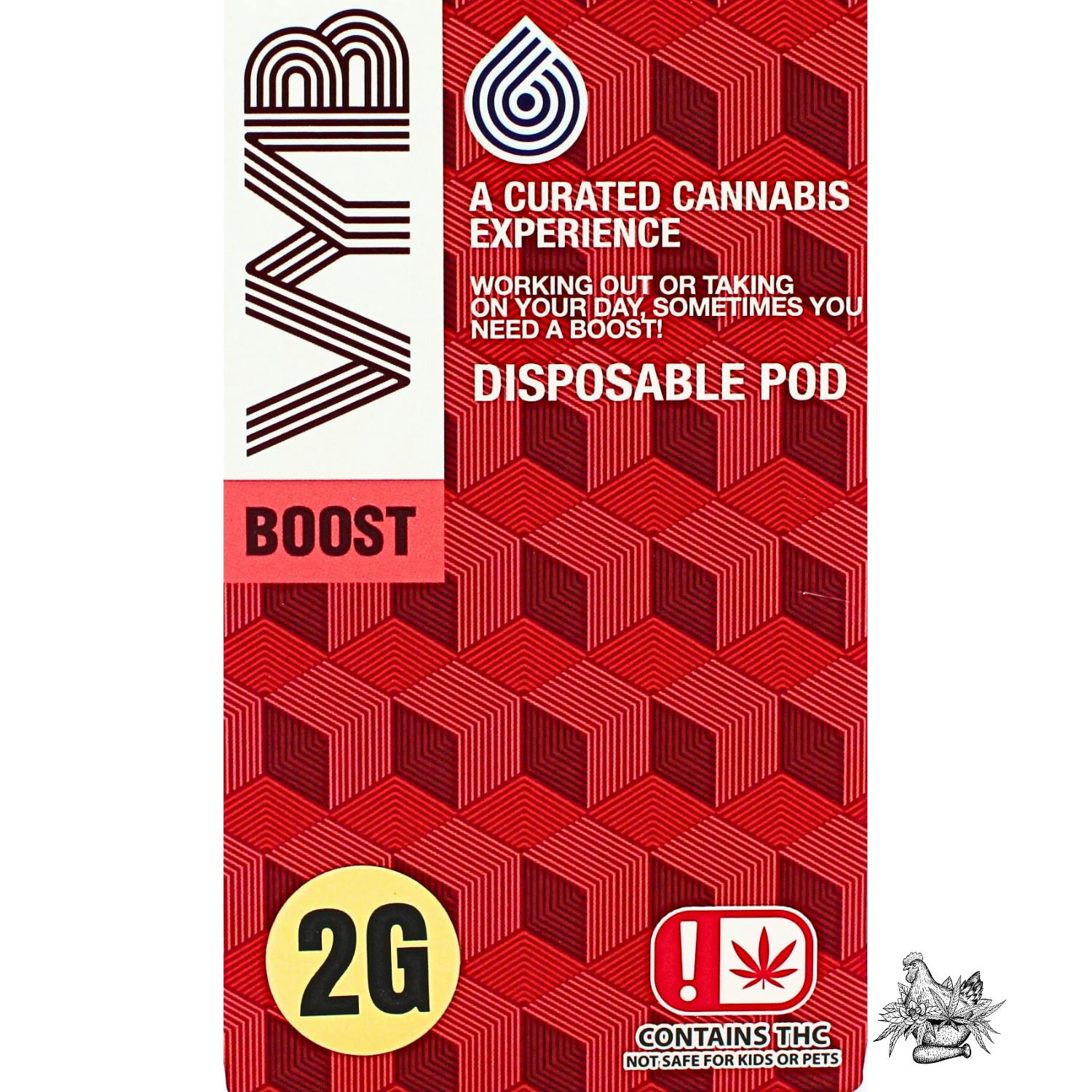 VYB-2G DISPOSABLE VAPE-BOOST