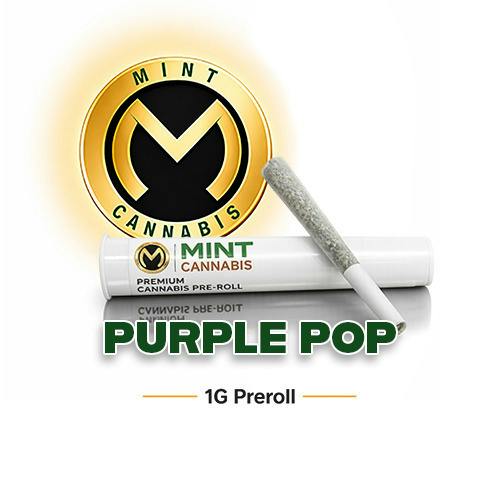 Mint Premium 1.0g Prerolls - Purple Pop at Mint Cannabis - Gainesville