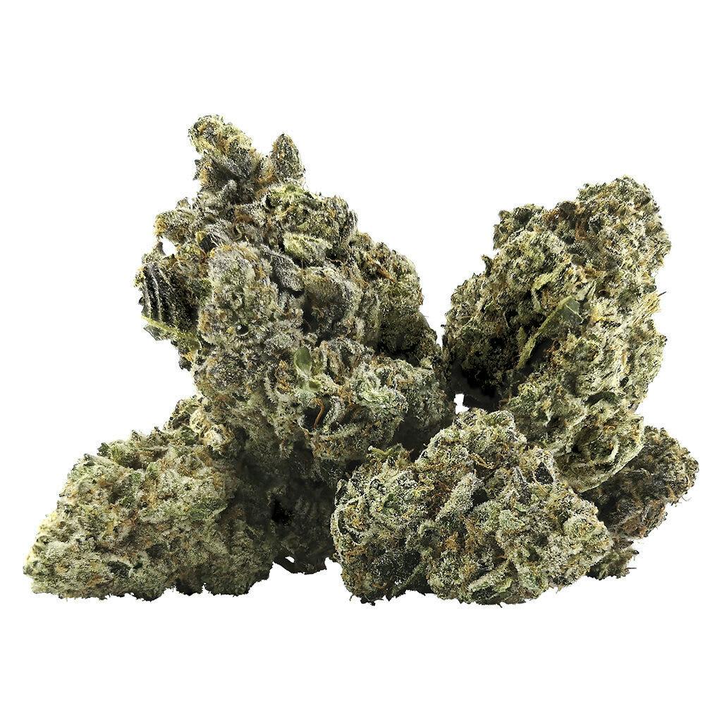 Galactica OG 14g Dried Flower