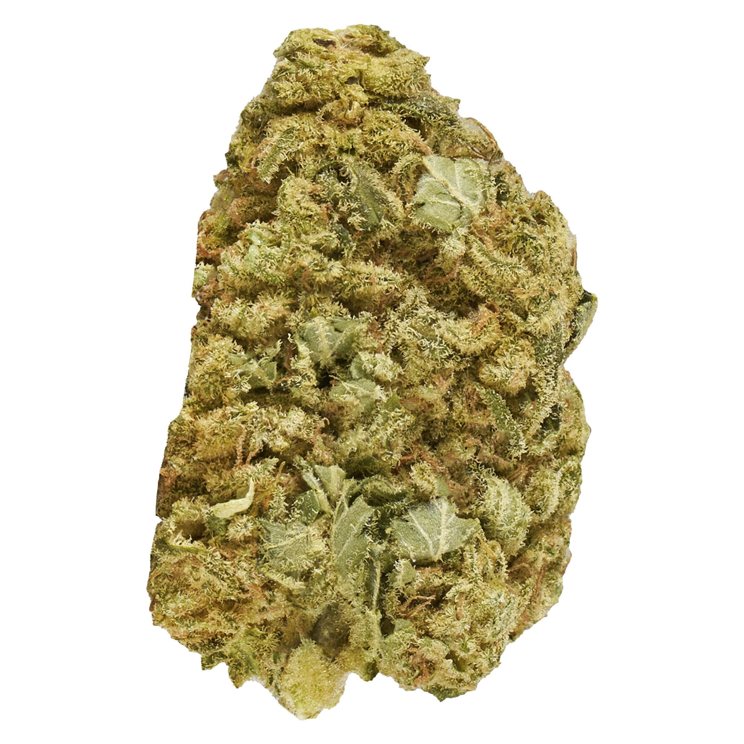 Master Mazar Kush 7g Dried Flower