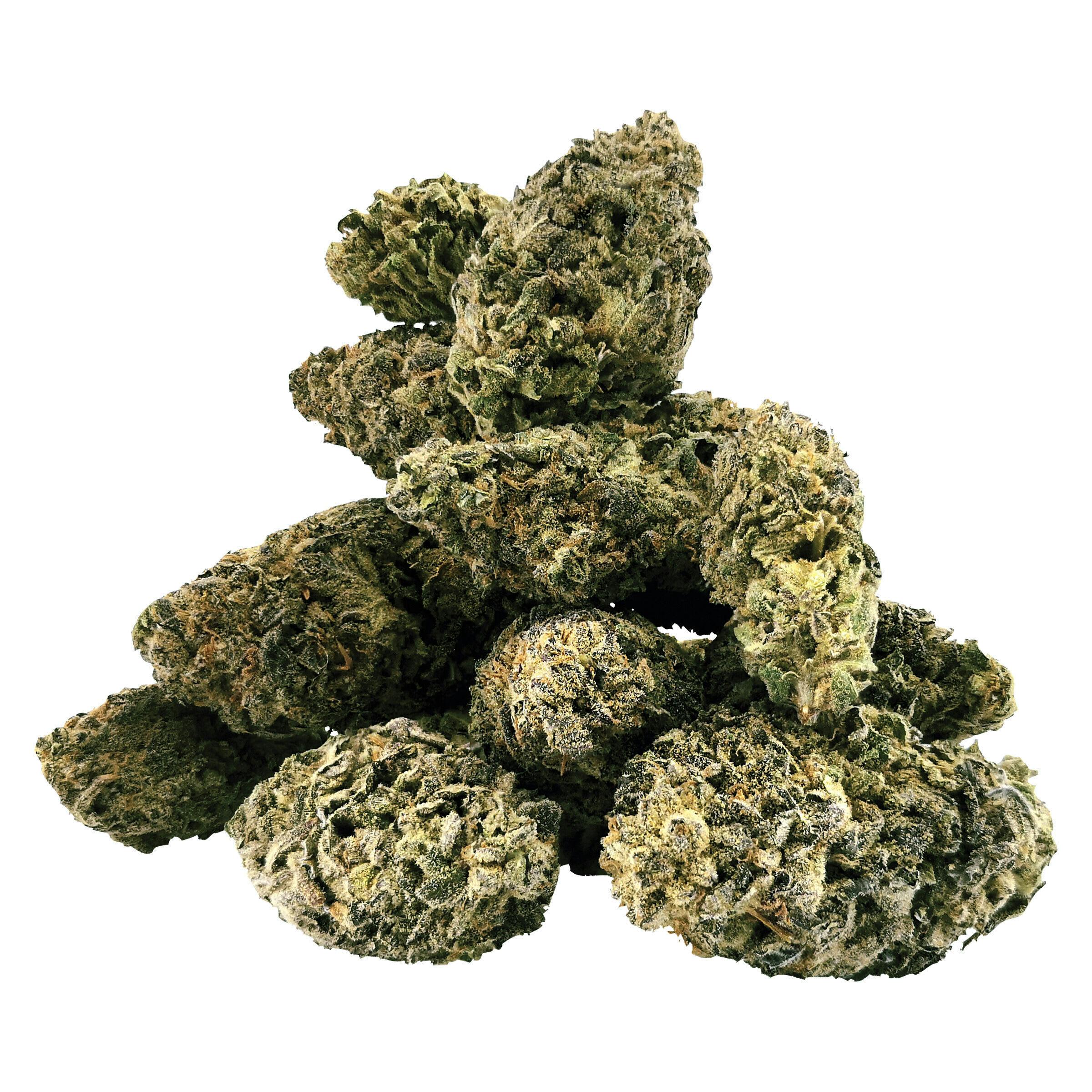 Tropical Infusion Craft Flower 28g Dried Flower