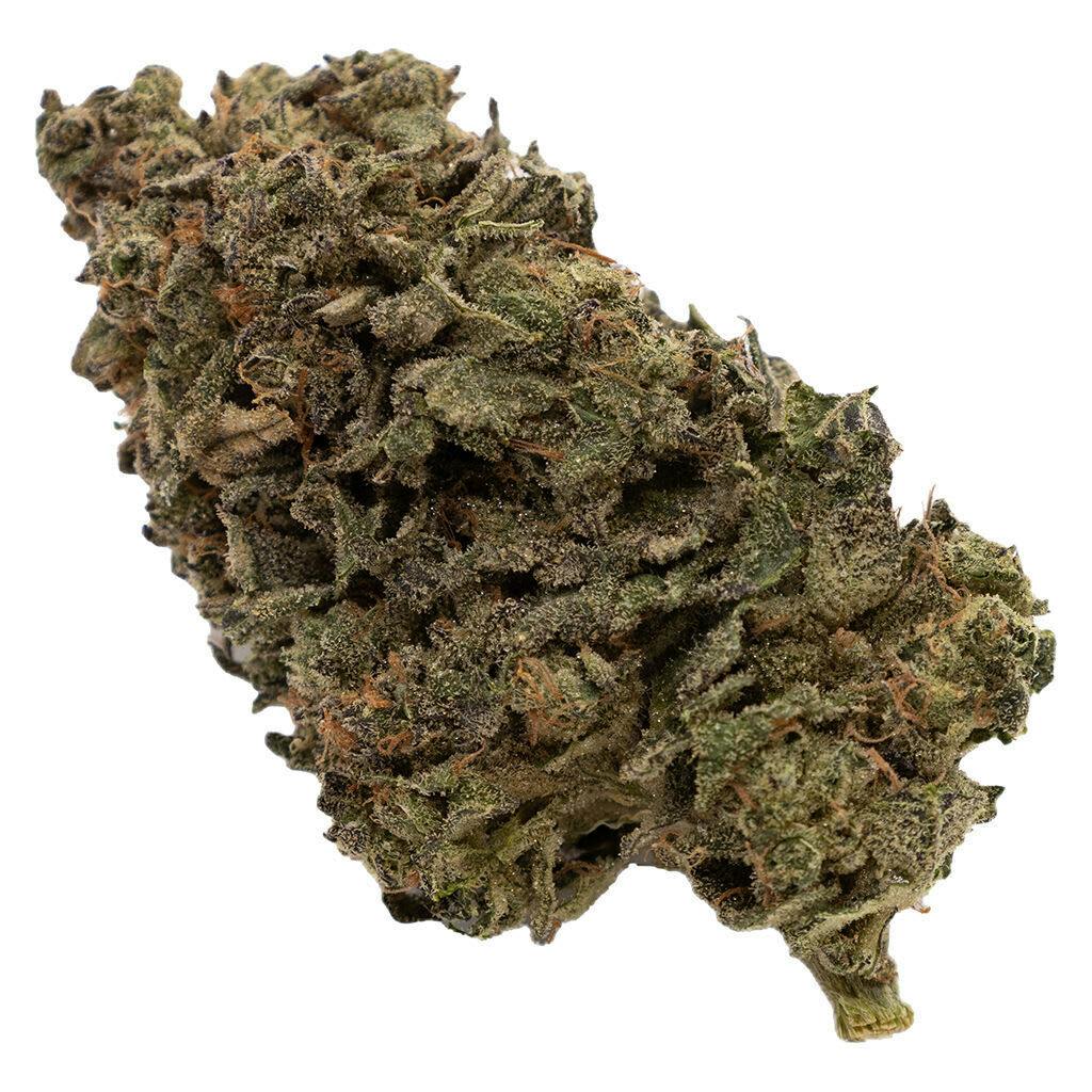 Jungle Fumes 3.5g Dried Flower
