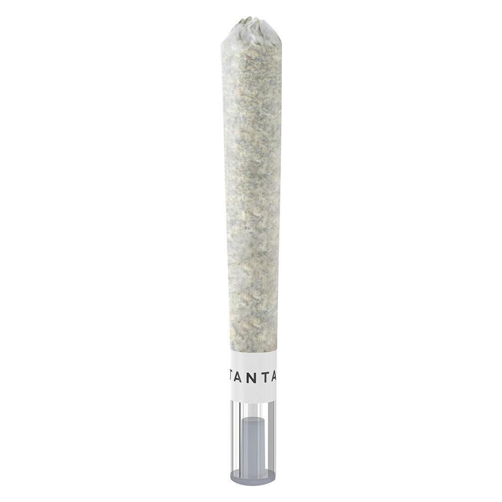 Animal Sundae Glass Tip Pre-Roll 1x1g Pre-Rolls