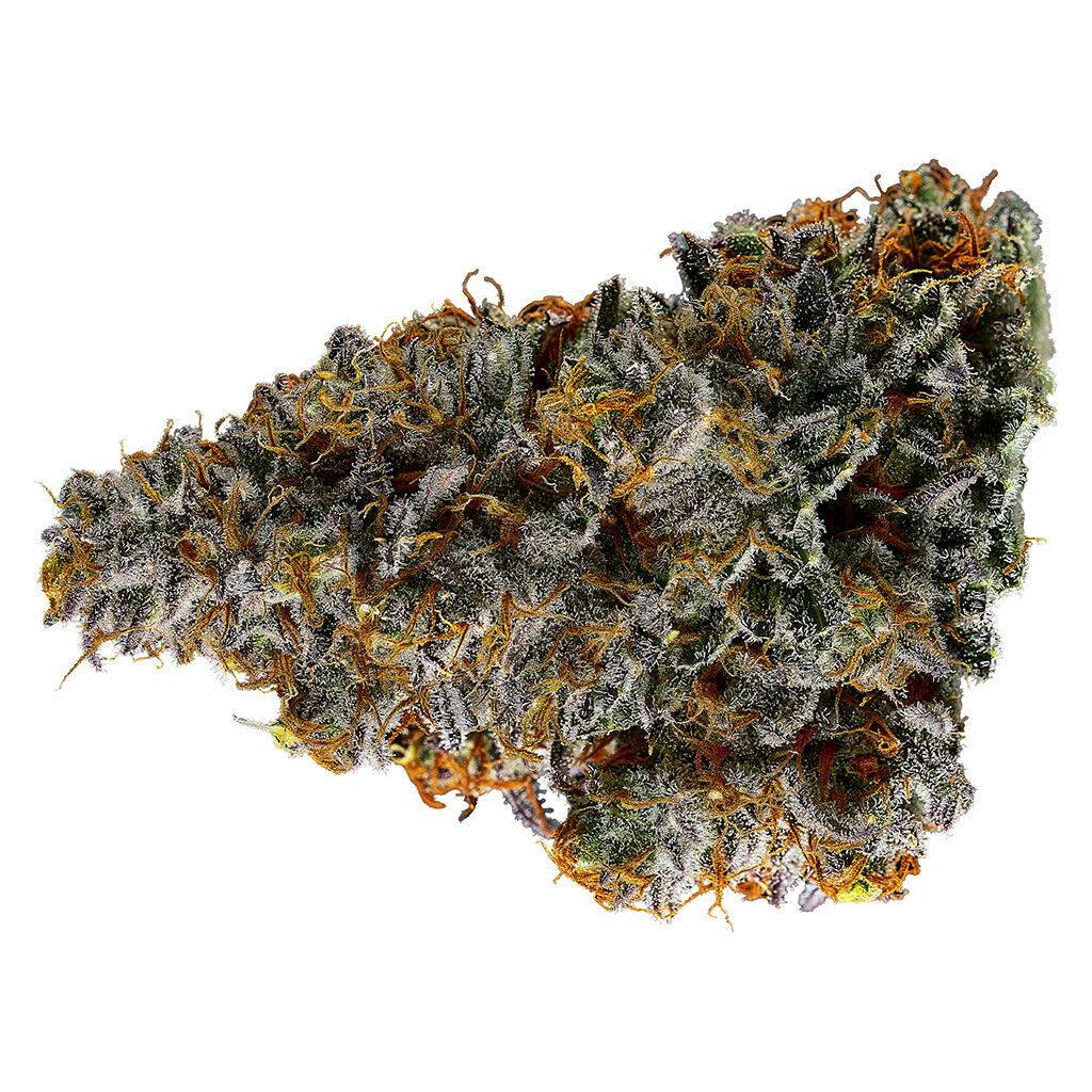 Early Lemon Berry 7g Dried Flower