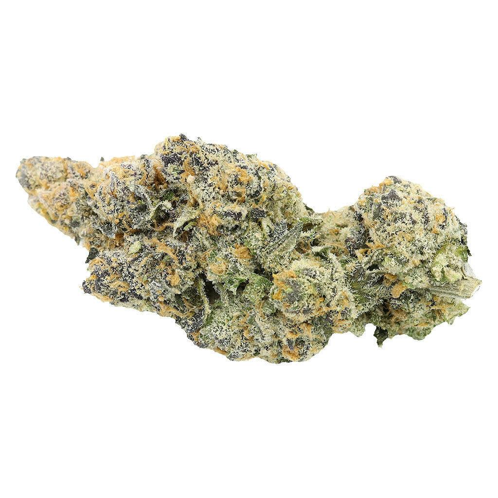 White Hot Guava 7g Dried Flower