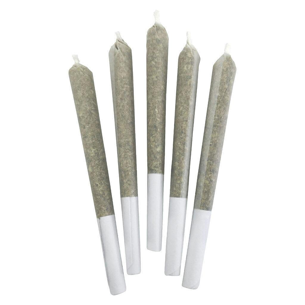 Blueberry Frost Pre-roll 5x0.5g Pre-Rolls