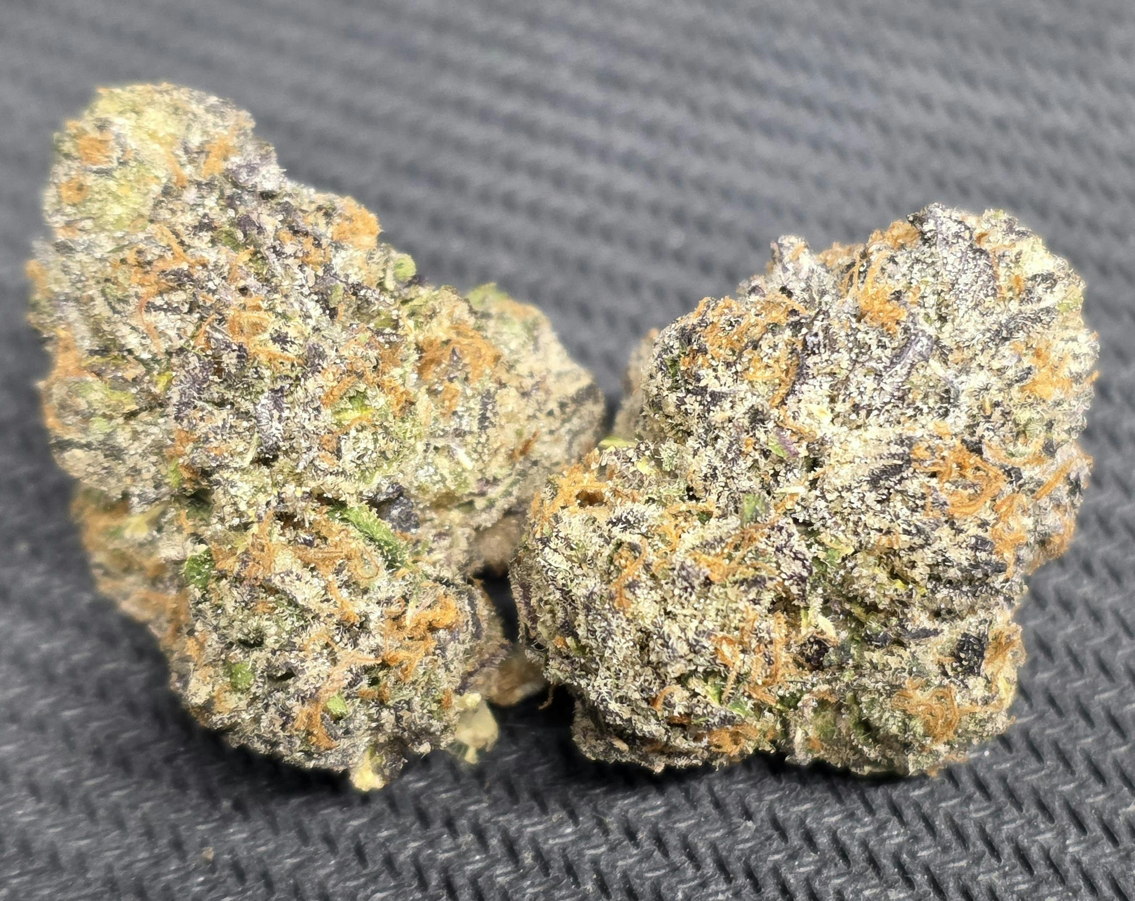 JOKERZ 31 - (3.5G)