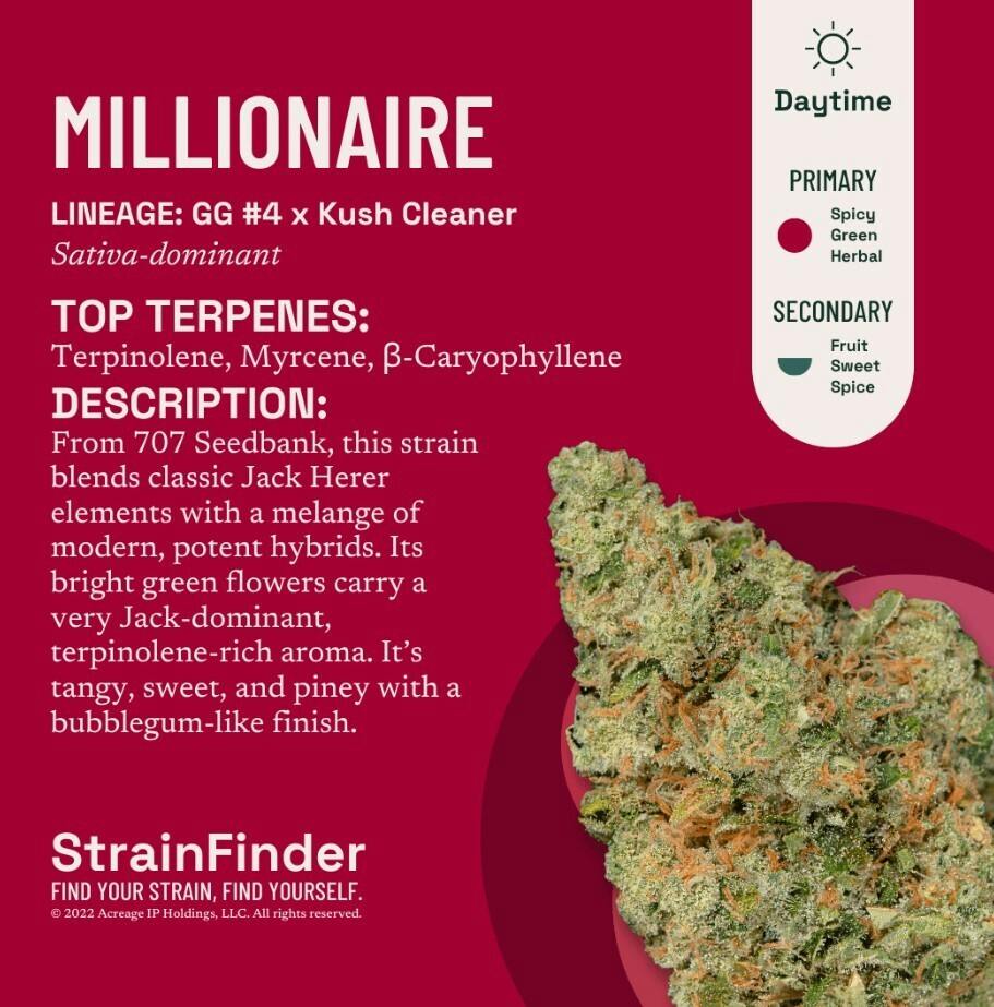 MILLIONAIRE #4 - (3.5G)