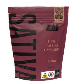 KILIMANJARO - (3.5G)