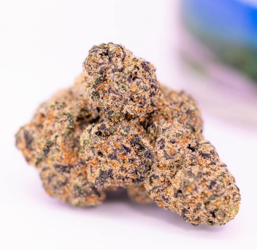 GRAPE FALLS DIESEL - (1G) at Route 20 Cannabis