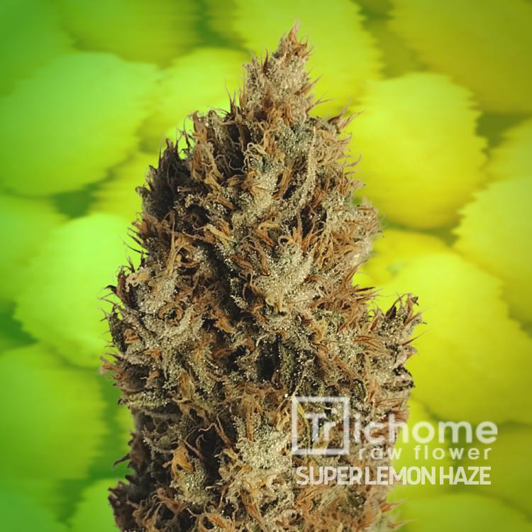Trichome Flower Super Lemon Haze