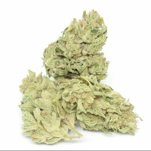 Suspended Brands Flower GG #4