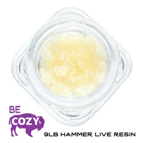 Walden Live Resin 9lb Hammer