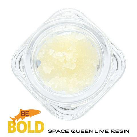 Walden Live Resin Space Queen