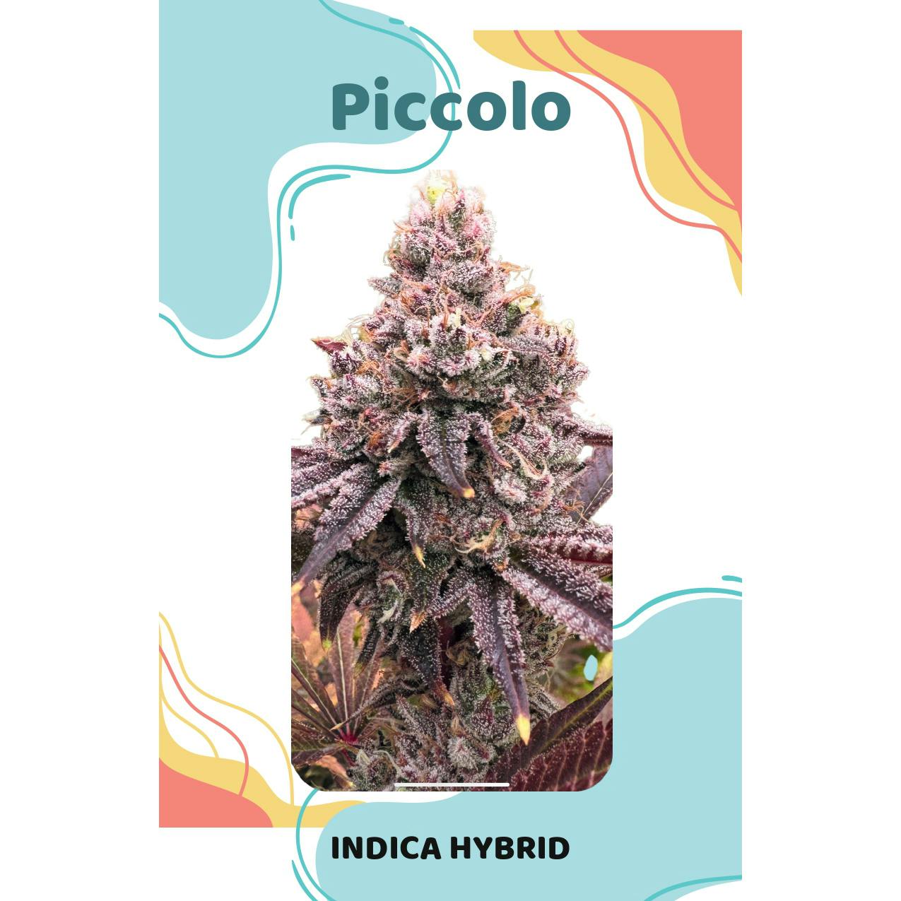 Ascension Flower Piccolo