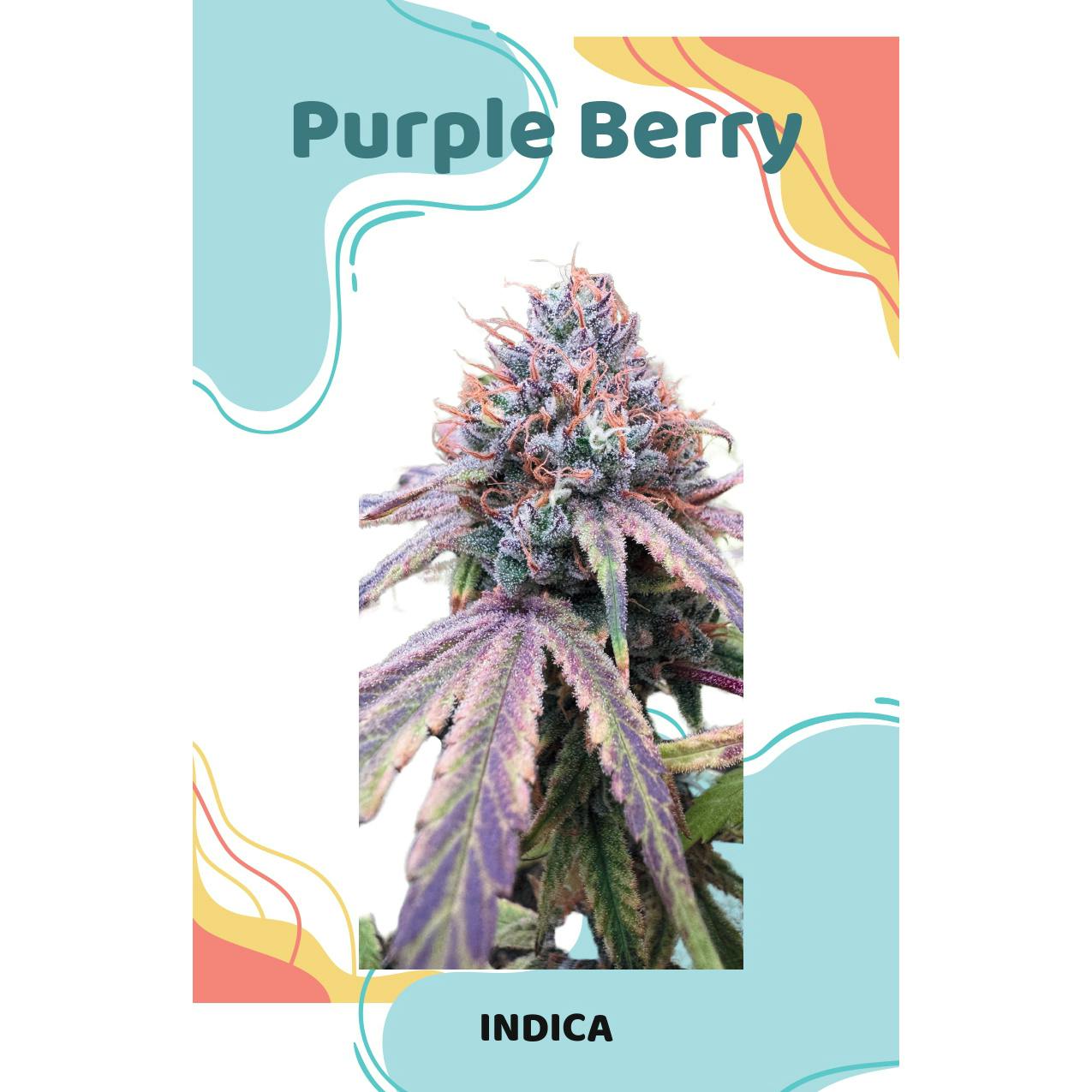 Ascension Flower Purple Berry