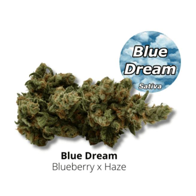 Canna Organix Flower Blue Dream