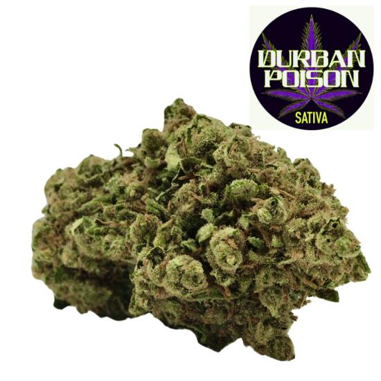 Canna Organix Flower Durban Poison