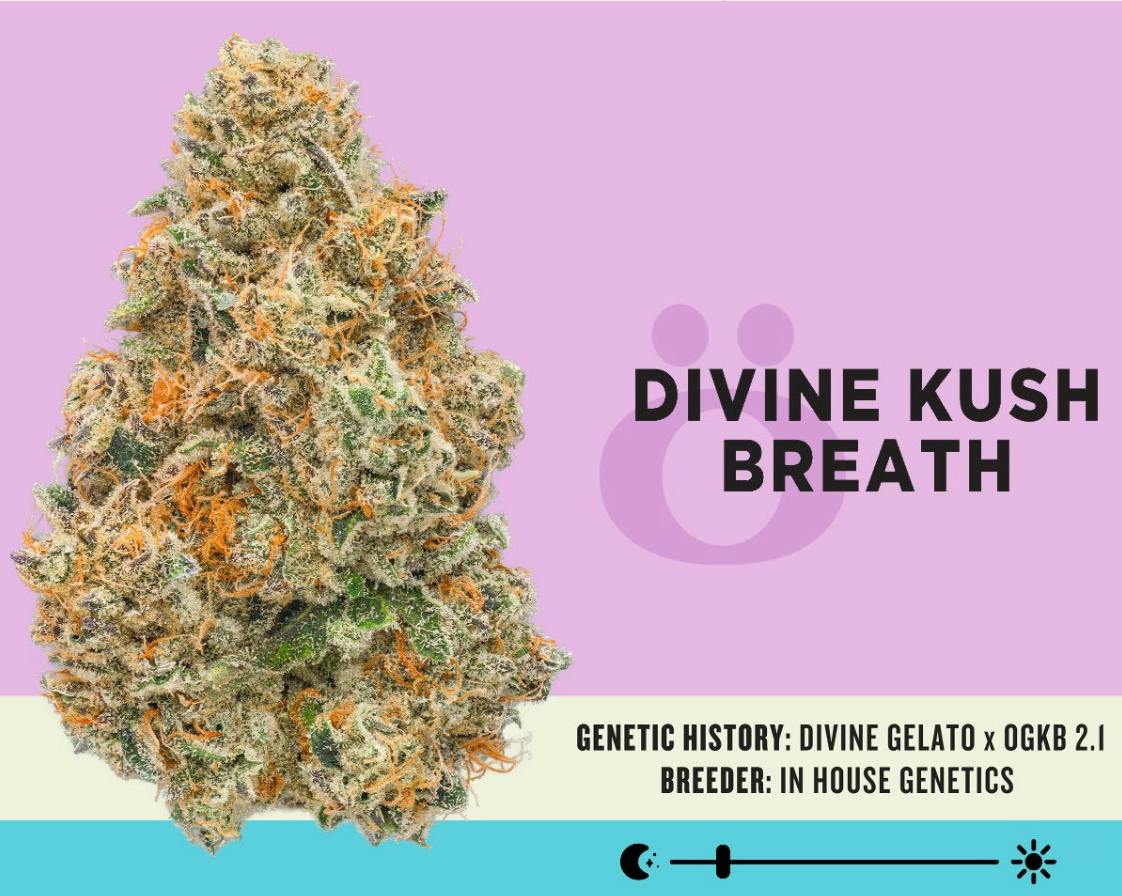 Skord Flower Divine Kush Breath