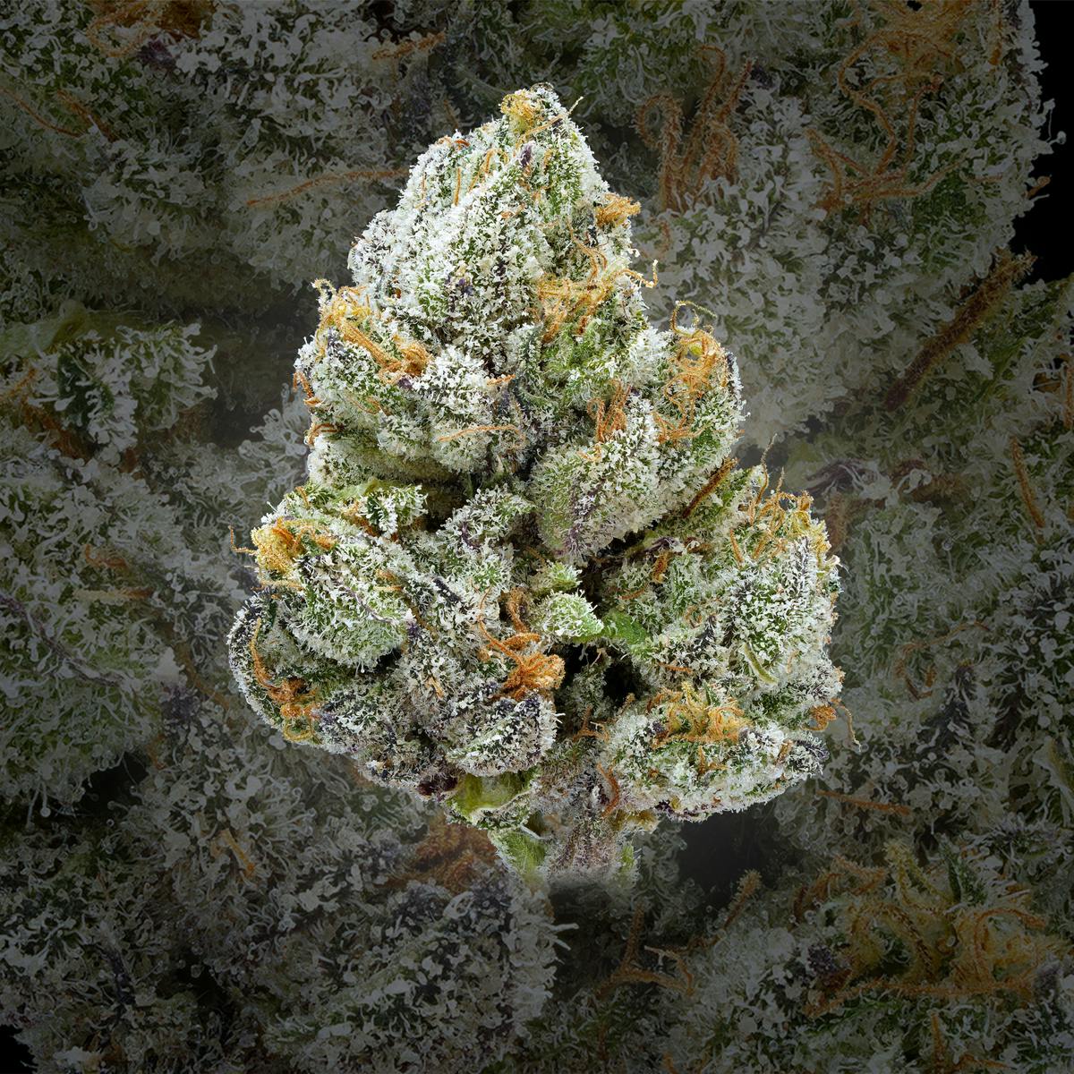 Seattle's Private Reserve Flower Lemon Pancakes
