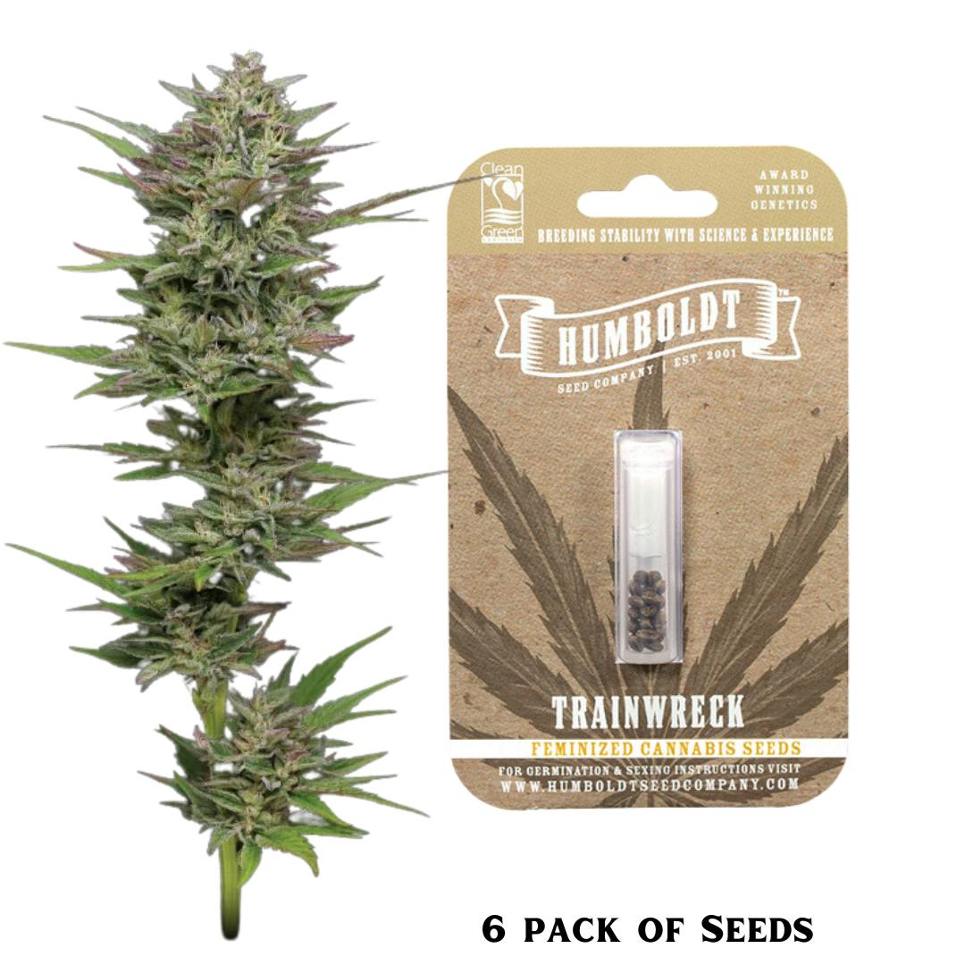 HSC | Trainwreck | SDH | Feminized | 6pk