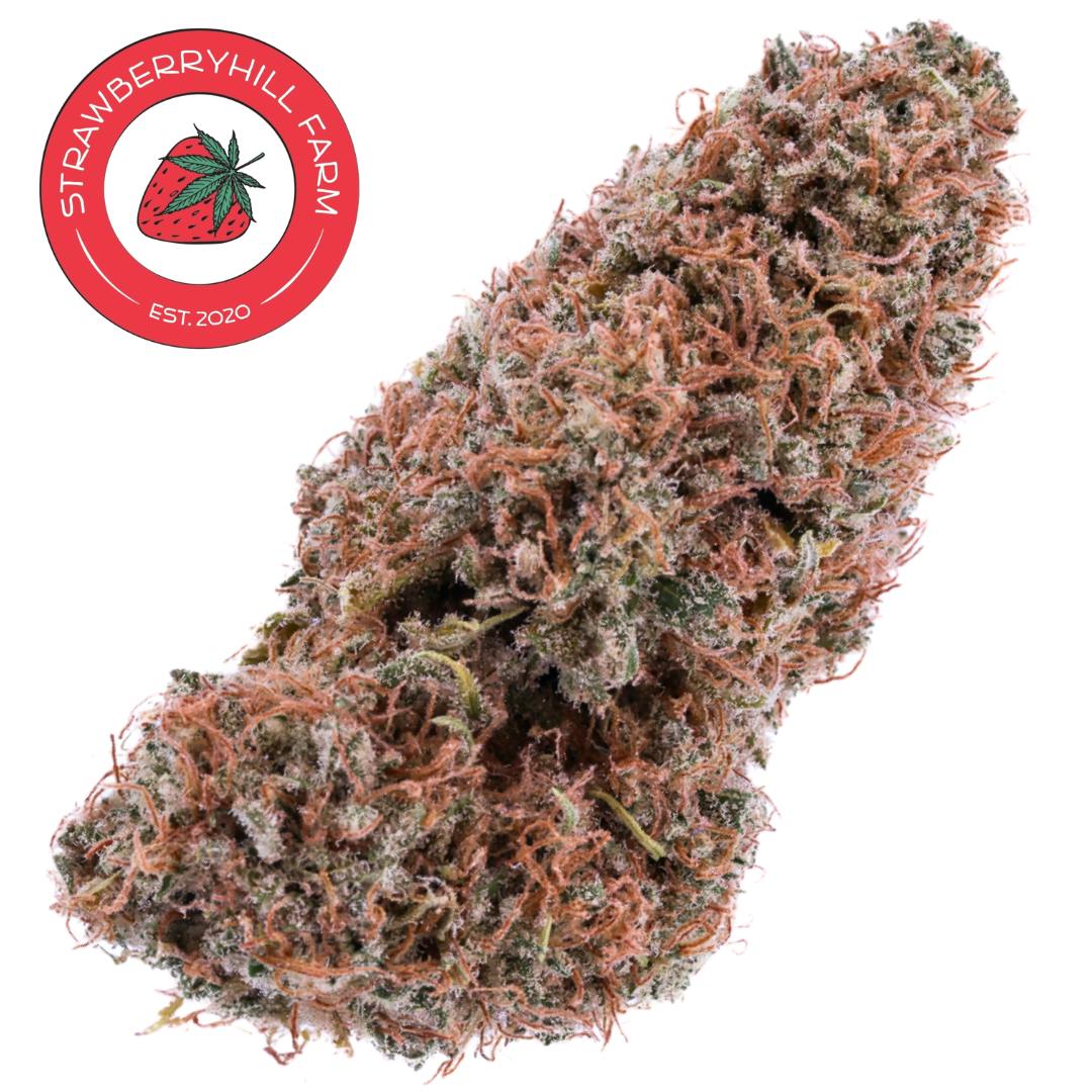 CBD Flower | SHF | Sour Lifter | SDH | 3.5g