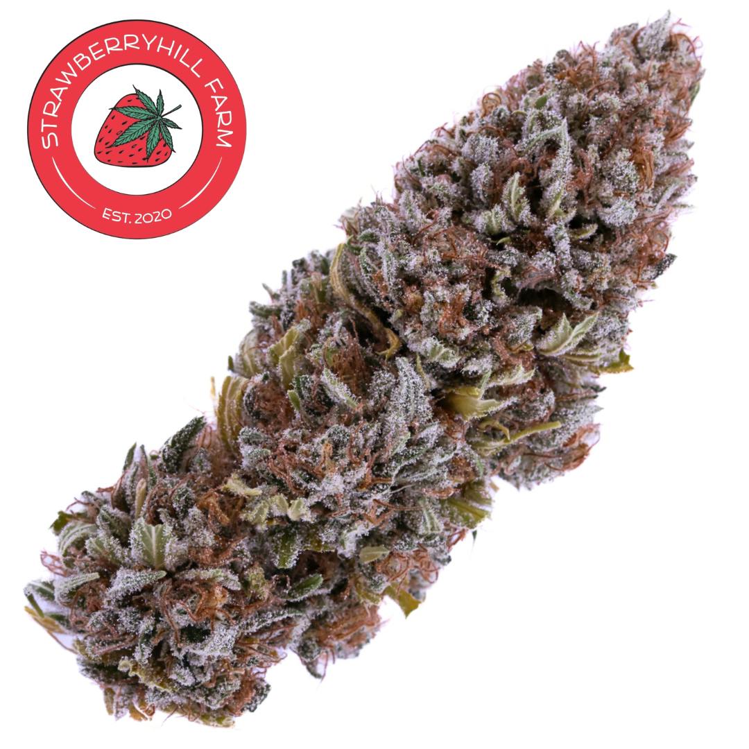 CBD Flower | SHF | White CBG | Hybrid | 3.5g