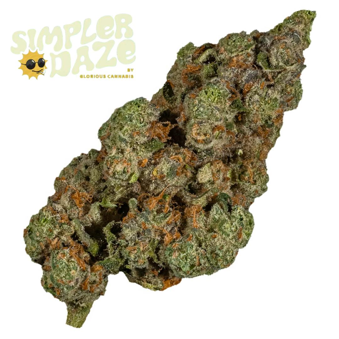 Flower Popcorn Ounce | Simpler Daze | Jet Fuel x GMO | Hybrid | 28g